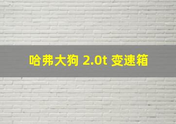 哈弗大狗 2.0t 变速箱